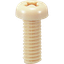 PPS (Polyphenylene Sulfide) small screw