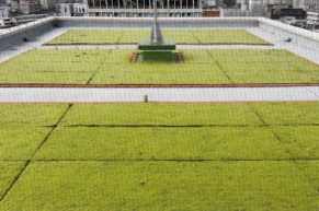 コケ緑化断熱システム『ECOKE』