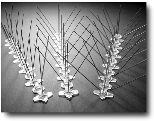 鳥害防除製品『バードフライトスパイク(R)』