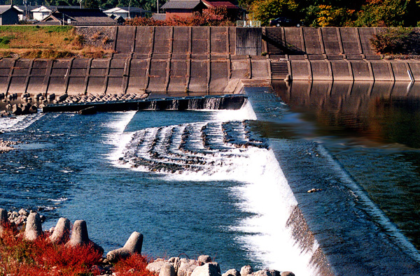 『棚田式魚道』の事例紹介：岐阜県の根尾川での魚道設計/工事