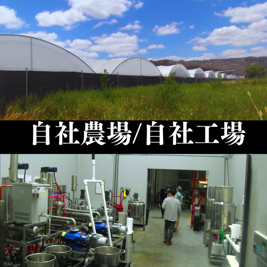 CBDアイソレート原料(新基準クリアー/US産)