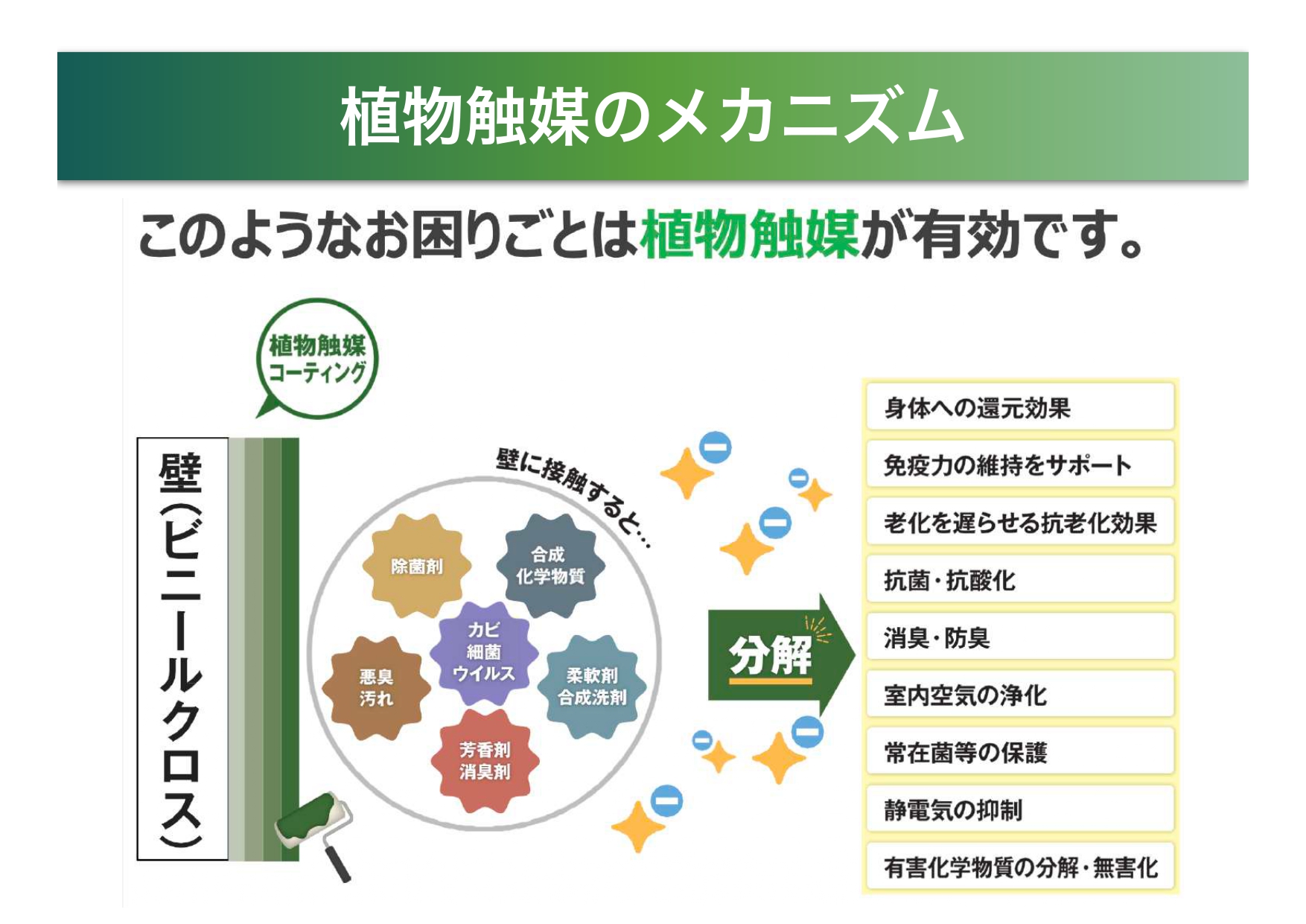 植物触媒『plants coat』　