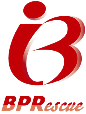 業務効率化コンサルティング『BPRescue』