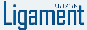 柔整鍼灸マッサージ連動型レセプト発行システム『Ligament』