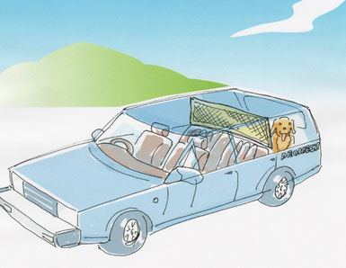 【デオメッシュ活用事例】自動車用ドッグネット