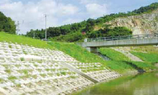 環境保全護岸『カメレオン』