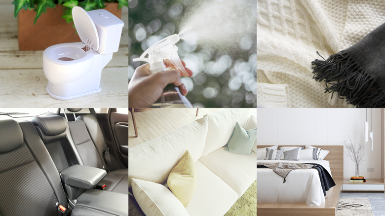 消臭除菌剤『フィトンの力』