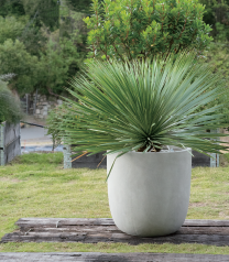 植木鉢『ALIAS（エイリアス）』