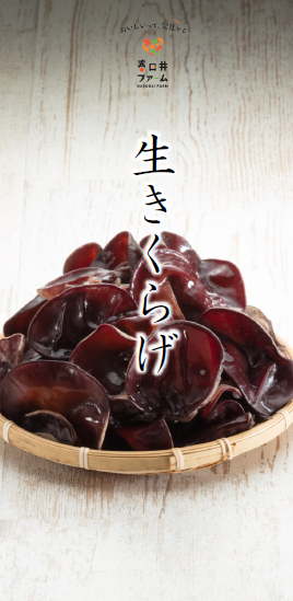 【資料】春日井ファーム　取扱製品のご紹介