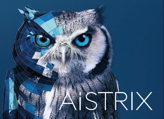 AiSTRIX Cloud Camera Solution トーカイセキュリティ | IPROS
