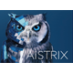 aistrix-IMAGE.PNG