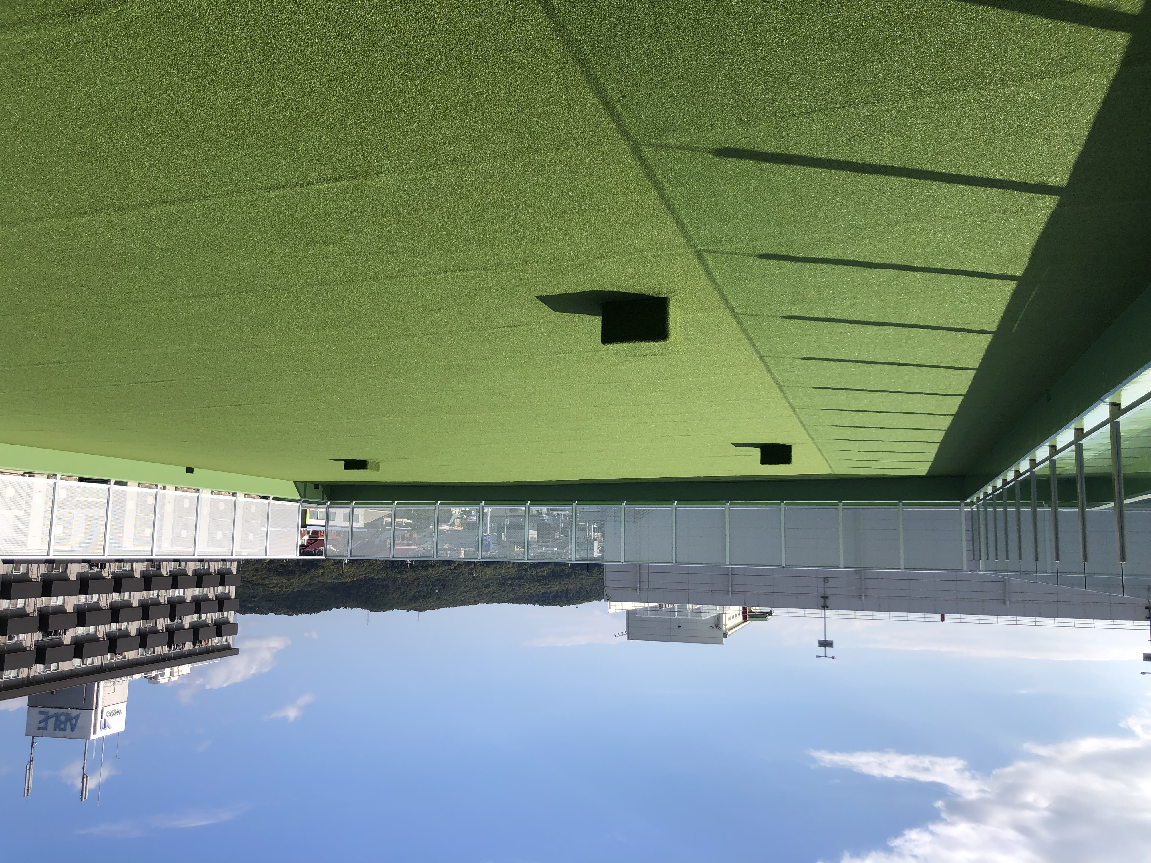 人工芝『サンバルコ』 ダイニック・ジュノ | イプロス