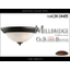 Circle ceiling light with 2 bulbs / Stylish modern design
