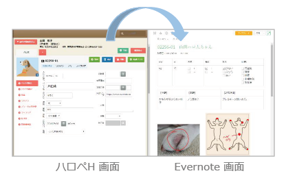 ハロペH+Evernote