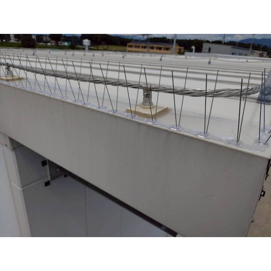 写真?エコクリップ下 左下写真と変更 .JPEG