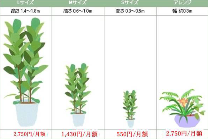 観葉植物レンタルサービス