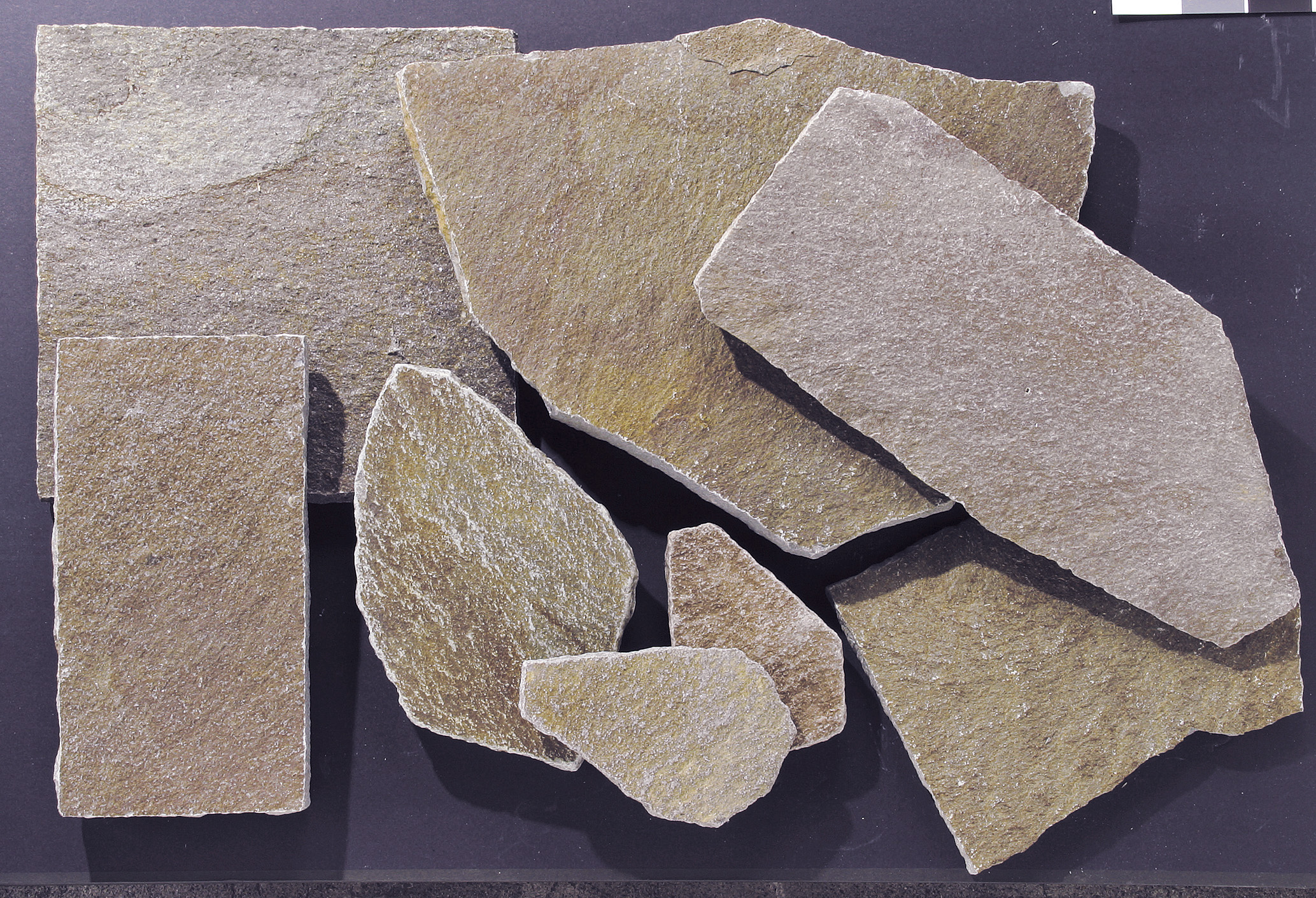 内床・外床 ベーシック木目調長尺タイル「フォレスト」 | 十九田陶業