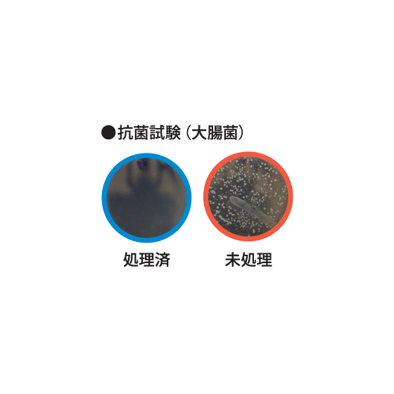 シーカウォール1.png