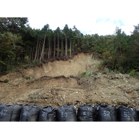 【モニタリング事例】国道斜面における二次災害の監視