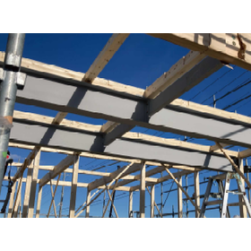 TN-WOLSH beam＜最大スパン12m・最大3割コスト減＞