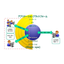 [Case Study] Implementing ERP without Customization