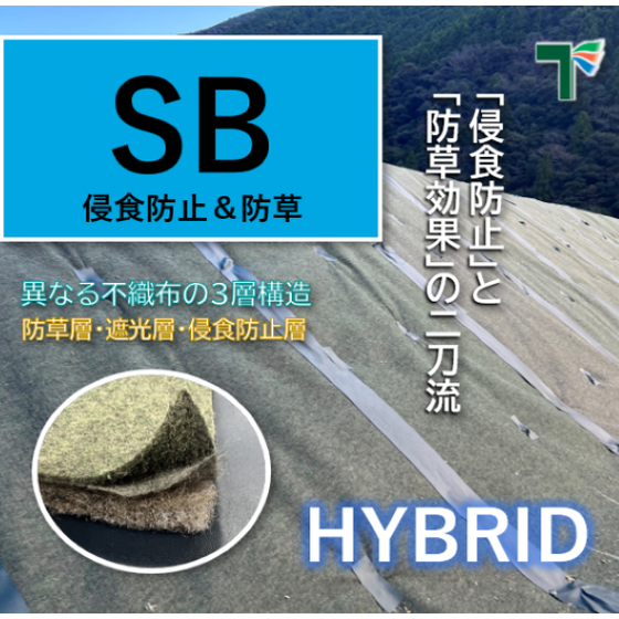 SBフィルター バナー.png