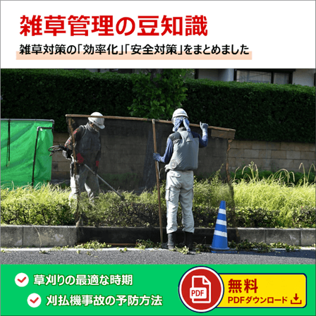 メイン画像.png