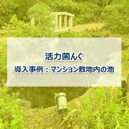 メイン.png