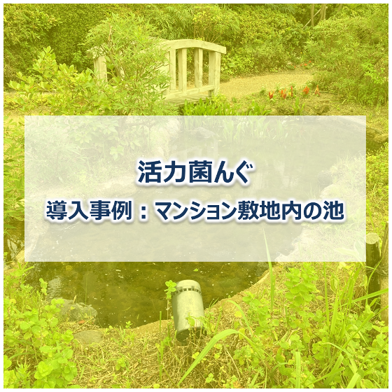 メイン.png