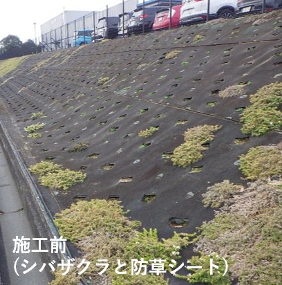 【再生可能エネルギー施設向け】緑地帯の景観改善と雑草対策