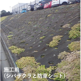 【金属工場向け】シバザクラからイジゲンシートで資源循環と景観維持