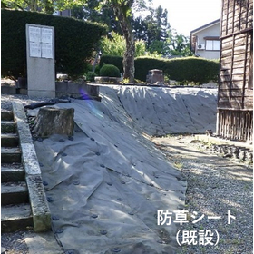 【テーマパーク向け】防草シート&times;芝生で自然豊かな世界観を演出