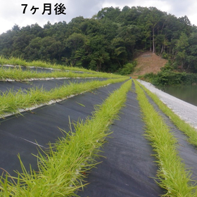 現地発生土を使った新設のため池の事例