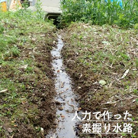 【施工事例】落ち葉や土が溜まり、溢れやすい素掘り水路の5年後