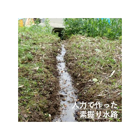 硬化テキメン-5-1.JPG