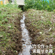 硬化テキメン-5-1.JPG
