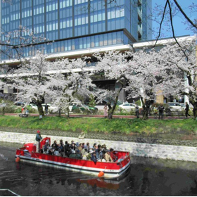 【施工事例】さくら名所100選の景観に溶け込む植生土のう