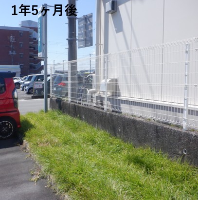 【工場向け】雑草対策で作業効率UP！建物周りの芝