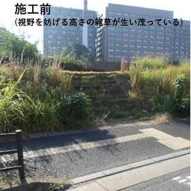 横断歩道の視野を塞ぎ、安全を損なうほど高く茂った雑草対策