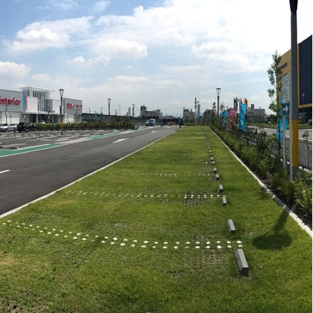 タフタフ-3.jpg