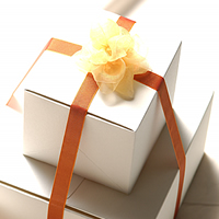 株式会社トウポリクリエイティブ　事業紹介