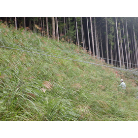 在来種播種工　原風景緑化工法