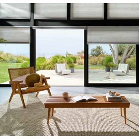 Duette Honeycomb Shade