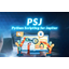 Automation and Customization of CAE with Python 'PSJ'