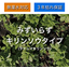 屋上緑化システム【みずいらず】薄層トレー式屋上緑化システム