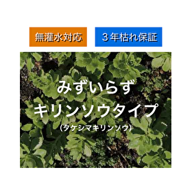mizuirazu1.png
