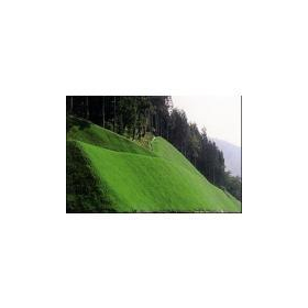 長繊維混入補強土一体緑化工　ロービングウォール工法