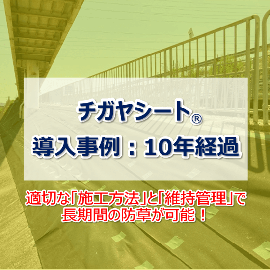 【防草シート施工事例】チガヤシート(R)　10年経過