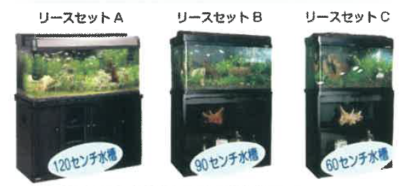 安らぎと癒しの熱帯魚水槽リース