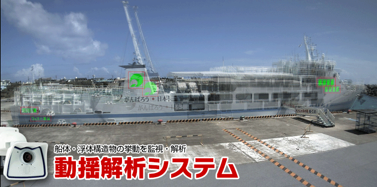 動揺解析システム